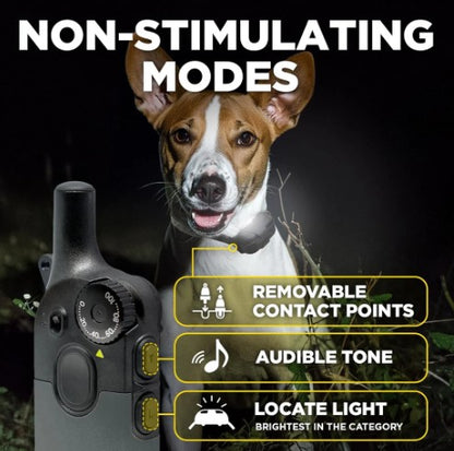 DOGTRA - 200iQ 1-DOG UNIT