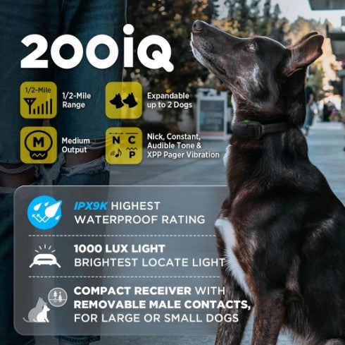 DOGTRA - 200iQ 1-DOG UNIT