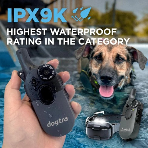 DOGTRA - 200iQ 1-DOG UNIT