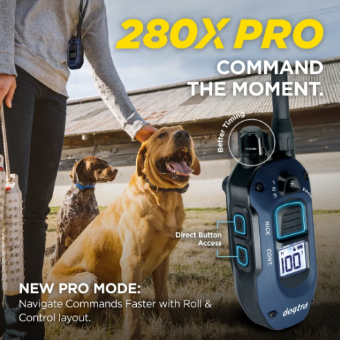 DOGTRA 280X Pro 1-Dog Training Collar