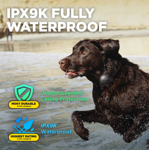 DOGTRA 280X Pro 1-Dog Training Collar