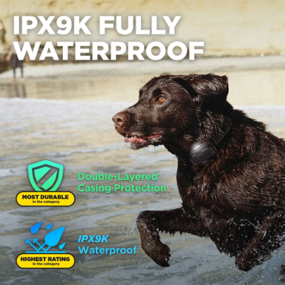 DOGTRA 280X Pro 1-Dog Training Collar