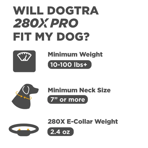 DOGTRA 280X Pro 1-Dog Training Collar