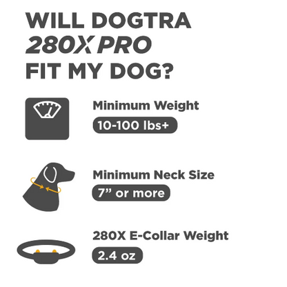 DOGTRA 280X Pro 1-Dog Training Collar