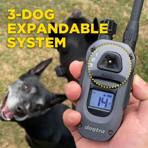 DOGTRA - 280X 1-DOG UNIT