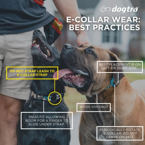 DOGTRA - 280X 1-DOG UNIT