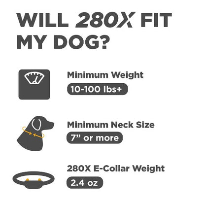 DOGTRA - 280X 1-DOG UNIT