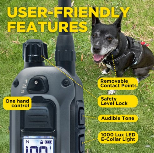 DOGTRA - 280X 1-DOG UNIT