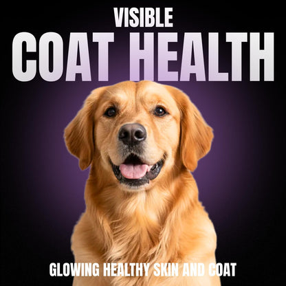 CPN Coat Boost Skin & Coat Supplement for Dogs (Omega-3, Biotin & Immune Support)