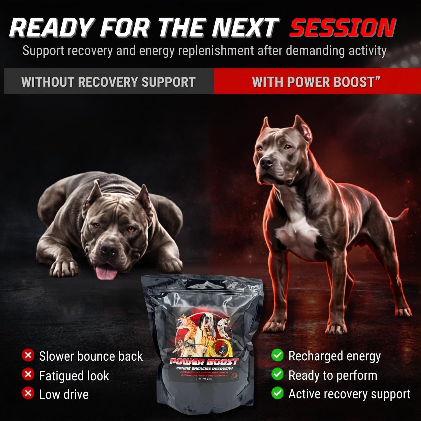 CPN Power Boost for Dogs – Hydration, Energy, Recovery & Joint Support for Working Dogs