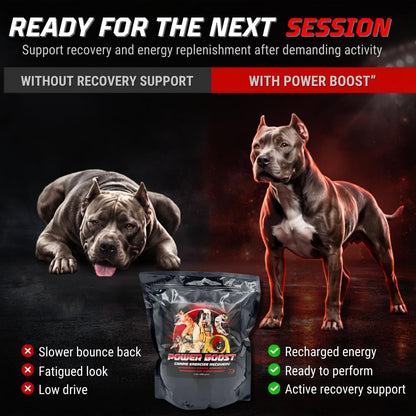 CPN Power Boost for Dogs – Hydration, Energy, Recovery & Joint Support for Working Dogs
