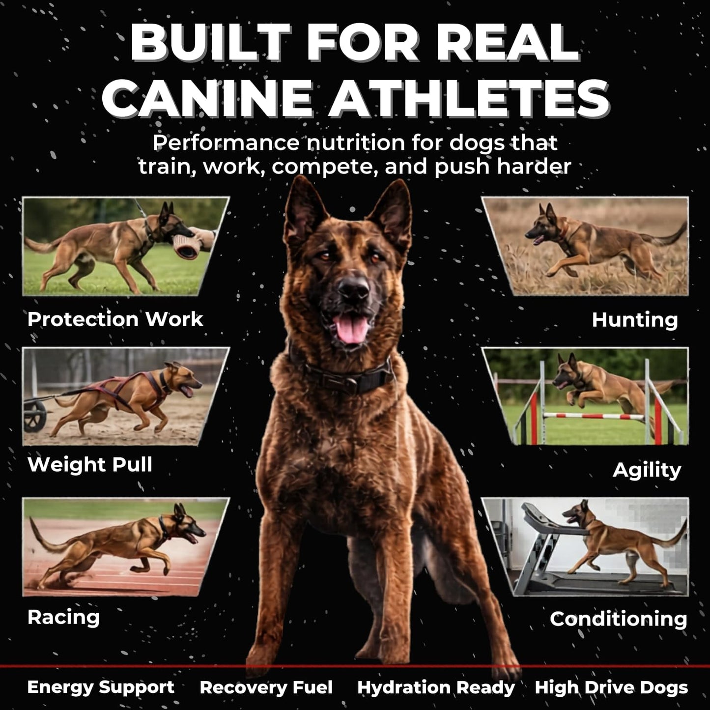 CPN Power Boost for Dogs – Hydration, Energy, Recovery & Joint Support for Working Dogs