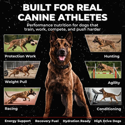 CPN Power Boost for Dogs – Hydration, Energy, Recovery & Joint Support for Working Dogs