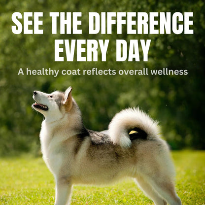 CPN Coat Boost Skin & Coat Supplement for Dogs (Omega-3, Biotin & Immune Support)