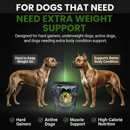 CPN Weight Boost – Weight Gainer for Dogs, Muscle & Energy Support
