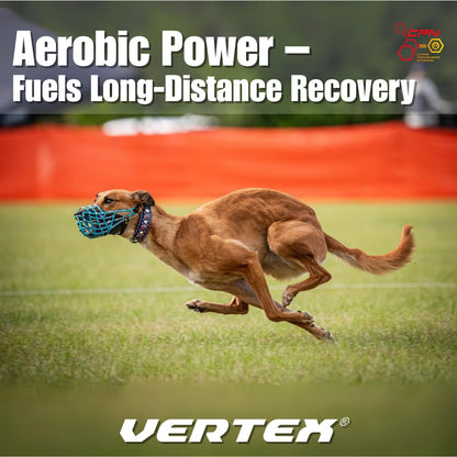 CPN Vertex Joint Health Supplement for Dogs – Muscle, Recovery & Joint Support