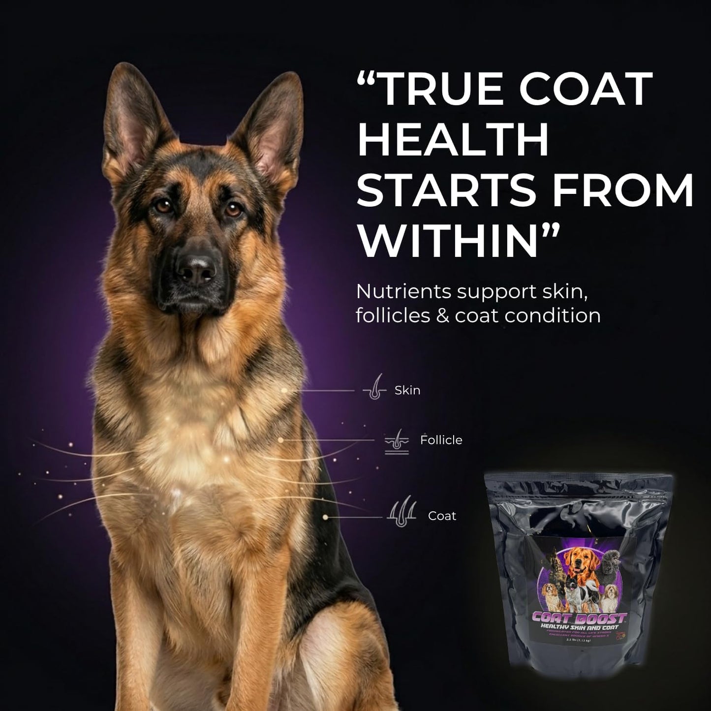 CPN Coat Boost Skin & Coat Supplement for Dogs (Omega-3, Biotin & Immune Support)