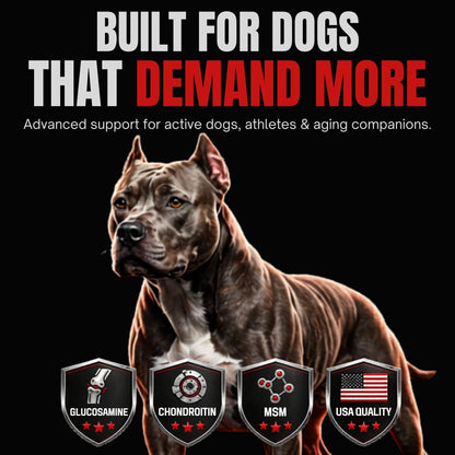 CPN Power Boost for Dogs – Hydration, Energy, Recovery & Joint Support for Working Dogs
