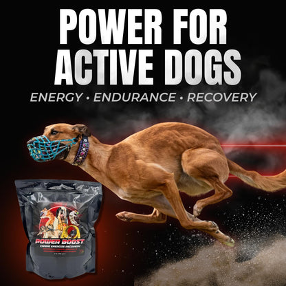 CPN Power Boost for Dogs – Hydration, Energy, Recovery & Joint Support for Working Dogs