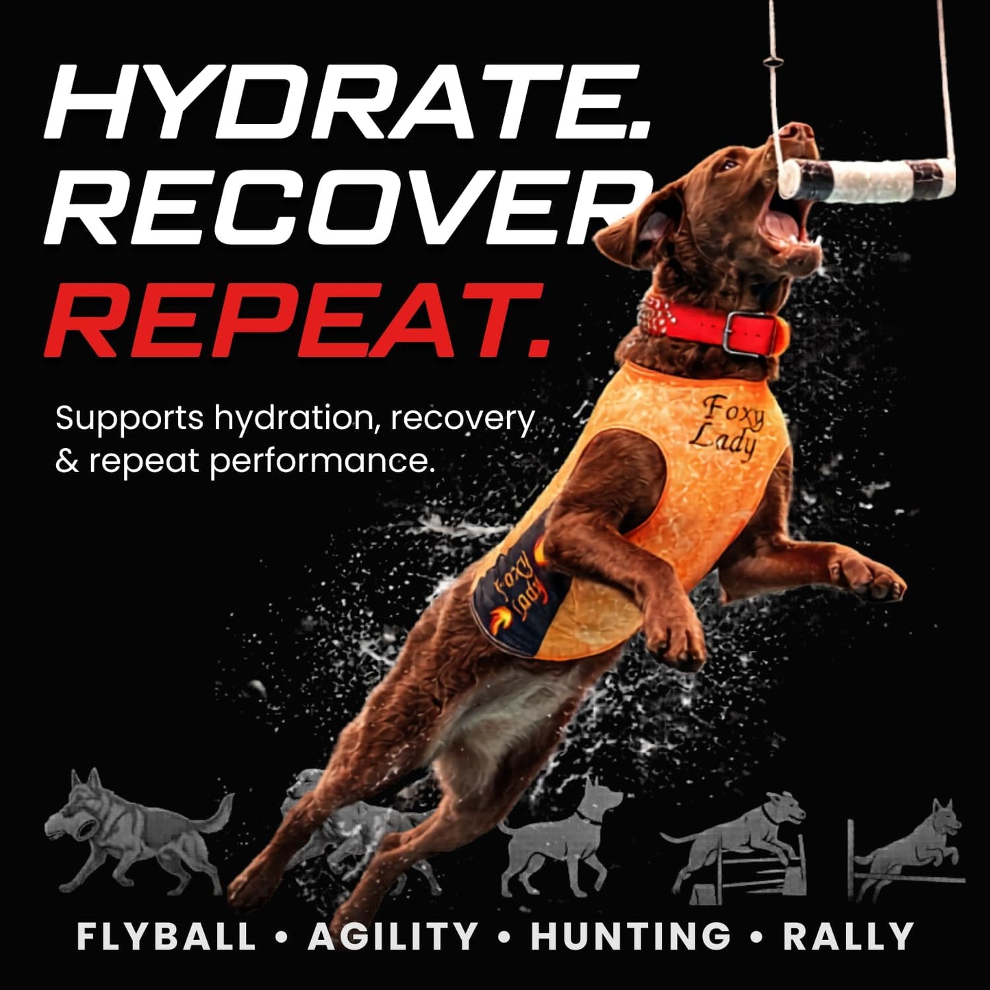 CPN Power Boost for Dogs – Hydration, Energy, Recovery & Joint Support for Working Dogs