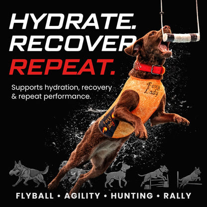 CPN Power Boost for Dogs – Hydration, Energy, Recovery & Joint Support for Working Dogs