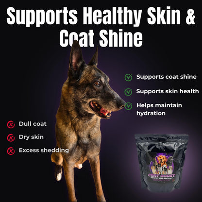 CPN Coat Boost Skin & Coat Supplement for Dogs (Omega-3, Biotin & Immune Support)