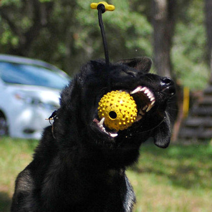 Elite K9 Working Ball with T-Tug Handle – Reward Ball for Drive Building