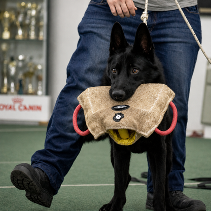 FDT Jute Bite Builder for Puppies & Young Dogs