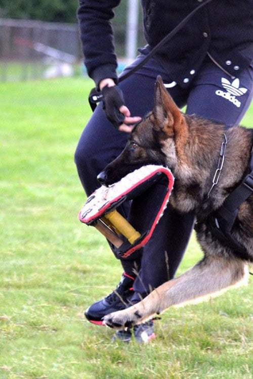 FDT - Jute Bite Builder for Puppies & Young Dogs – 3 Handle Grip Training Tool