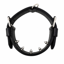 DOGTECH Leather Pinch Dog Collar
