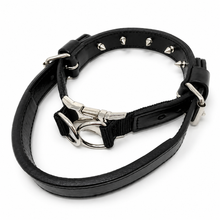 DOGTECH Leather Pinch Dog Collar with Handle & Metal Buckle