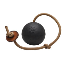 MONSTER K9 - Flash Reward Ball