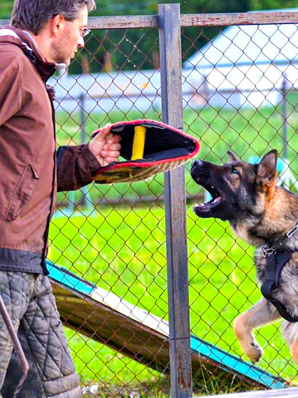 FDT - Jute Bite Builder for Puppies & Young Dogs – 3 Handle Grip Training Tool