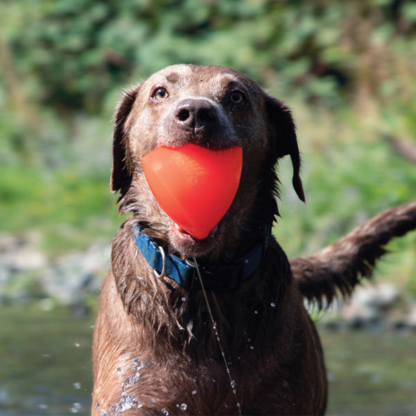 RUFF DAWG - Dawg-X Indestructible Rubber Floating Retrieving Toy - Guaranteed For Life
