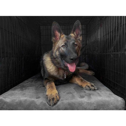 BIG BARKER - 4" Orthopedic Crate Bed Animals & Pet Supplies Barker Beds 