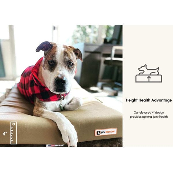 BIG BARKER - 4" Orthopedic Crate Bed Animals & Pet Supplies Barker Beds 