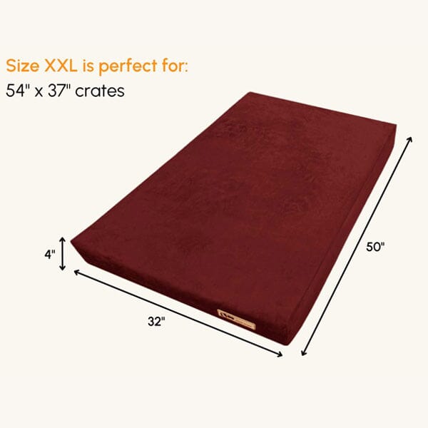 BIG BARKER - 4" Orthopedic Crate Bed Animals & Pet Supplies Barker Beds XXL- 50" x 32" x 4" Khaki 