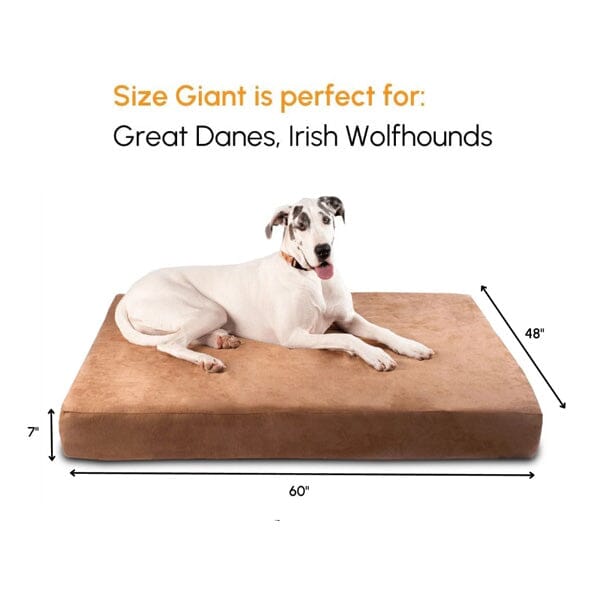 BIG BARKER - 7" Orthopedic Dog Bed Animals & Pet Supplies German Shepherd Shop 