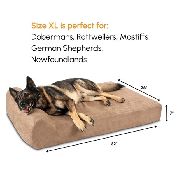 BIG BARKER - 7" Orthopedic Dog Bed Animals & Pet Supplies German Shepherd Shop 