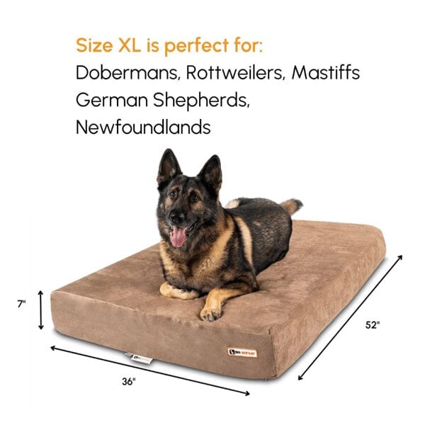 BIG BARKER - 7" Orthopedic Dog Bed Animals & Pet Supplies German Shepherd Shop 