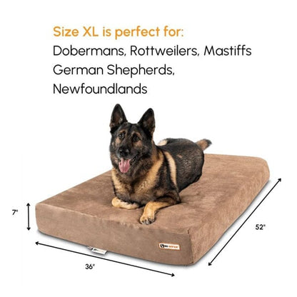 BIG BARKER - 7" Orthopedic Dog Bed Animals & Pet Supplies German Shepherd Shop 