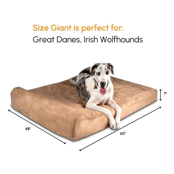 BIG BARKER - 7" Orthopedic Dog Bed Animals & Pet Supplies German Shepherd Shop 