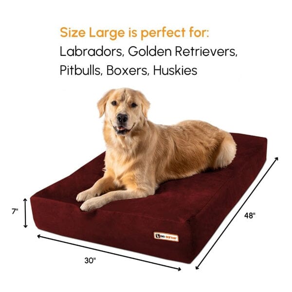 BIG BARKER - 7" Orthopedic Dog Bed Animals & Pet Supplies German Shepherd Shop 