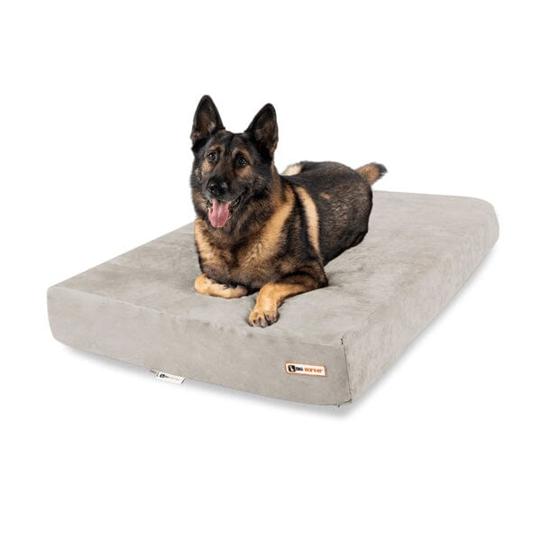 BIG BARKER - 7" Orthopedic Dog Bed Animals & Pet Supplies German Shepherd Shop Sleek Edition Large - 48" x 30" x 7" Khaki