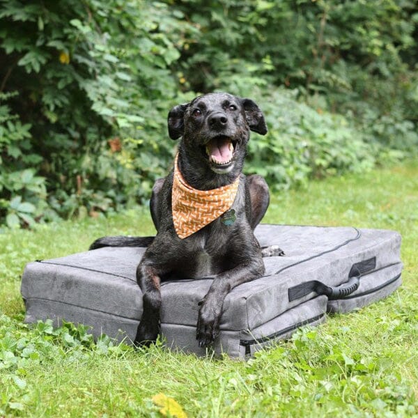 BIG BARKER - Travel Bed Barker Beds 