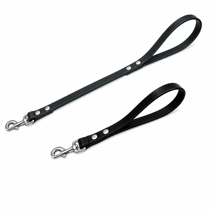 GSS Heavy-Duty Biothane Traffic Leash with Stainless Steel Clasp