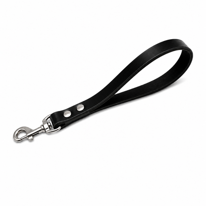 GSS Heavy-Duty Biothane Traffic Leash with Stainless Steel Clasp