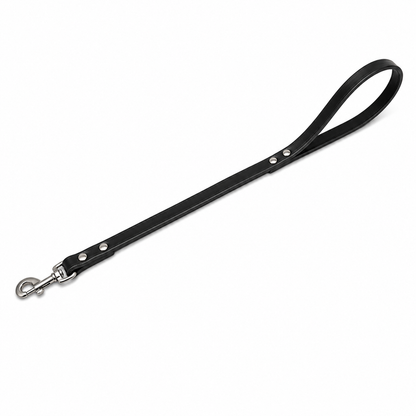 GSS Heavy-Duty Biothane Traffic Leash with Stainless Steel Clasp