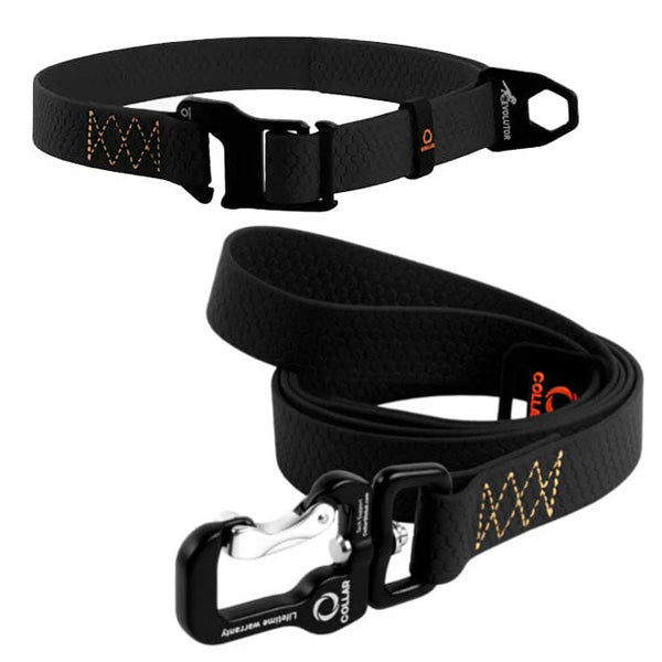 Evolutor Collar & Leash Bundle