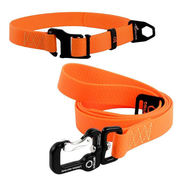 Evolutor Collar & Leash Bundle